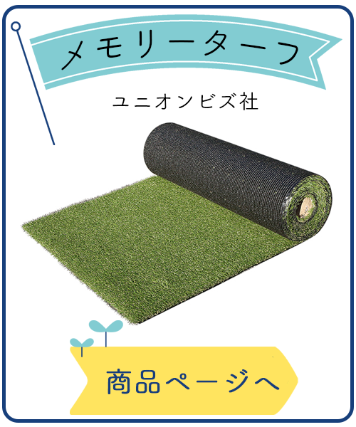 メモリーターフ
